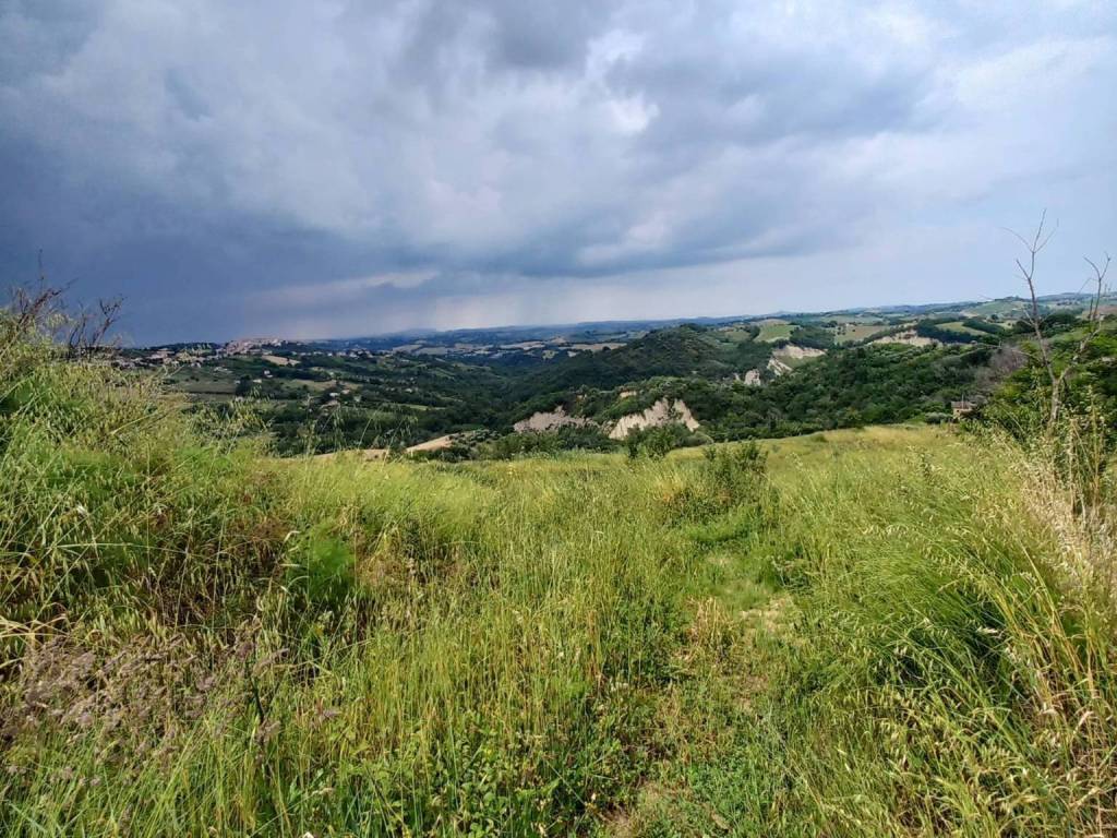 Terreno a Monte vidon corrado in Via Larciano, 1 - Foto 2