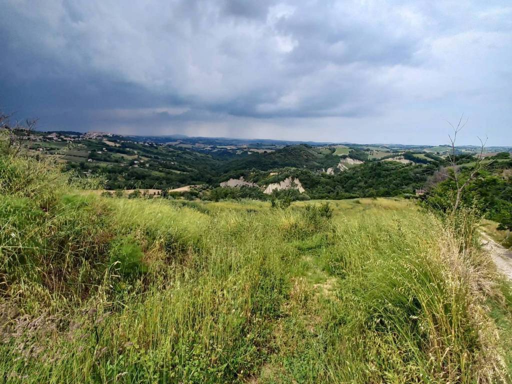 Terreno a Monte vidon corrado in Via Larciano, 1 - Foto 3