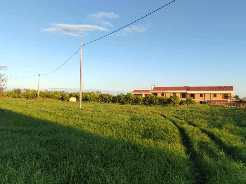 Terreno a Avola in Contrada Stretto di Carcellita - Foto 2