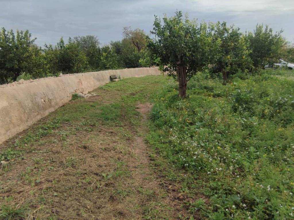 Terreno a Avola in Contrada Stretto di Carcellita - Foto 5
