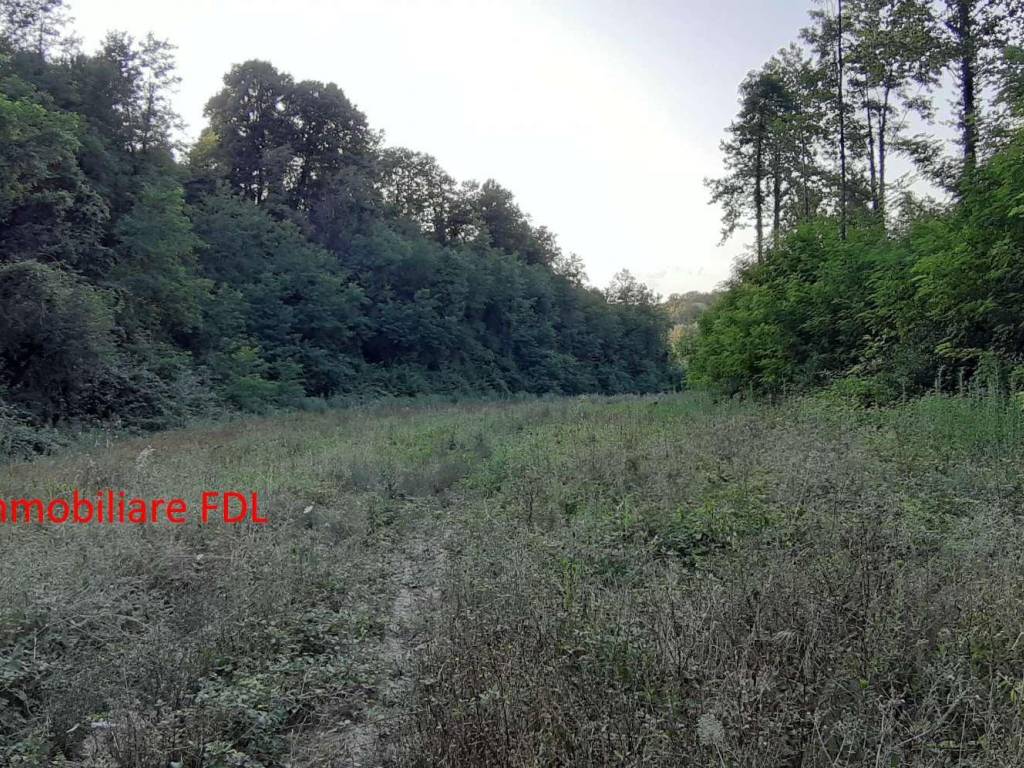 Terreno a Pontedera in via 25 Aprile - Foto 2