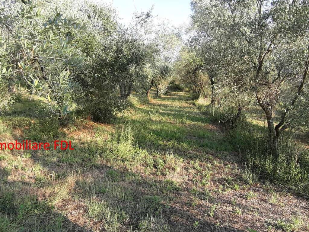 Terreno a Pontedera in via 25 Aprile - Foto 3
