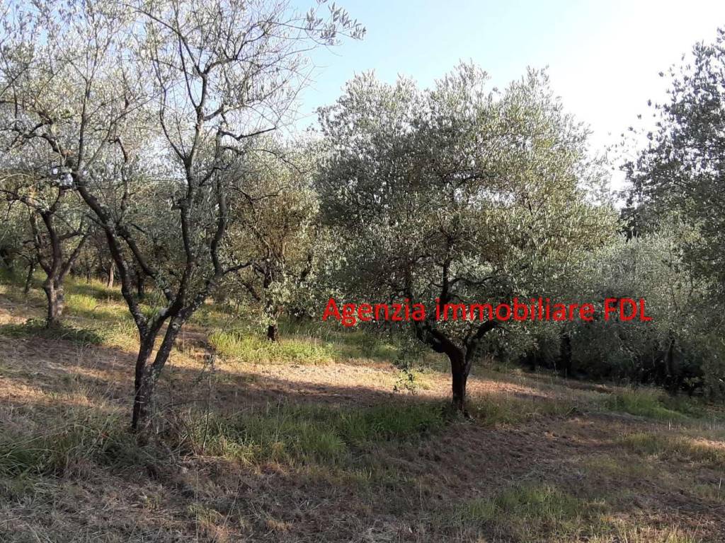 Terreno a Pontedera in via 25 Aprile - Foto 4