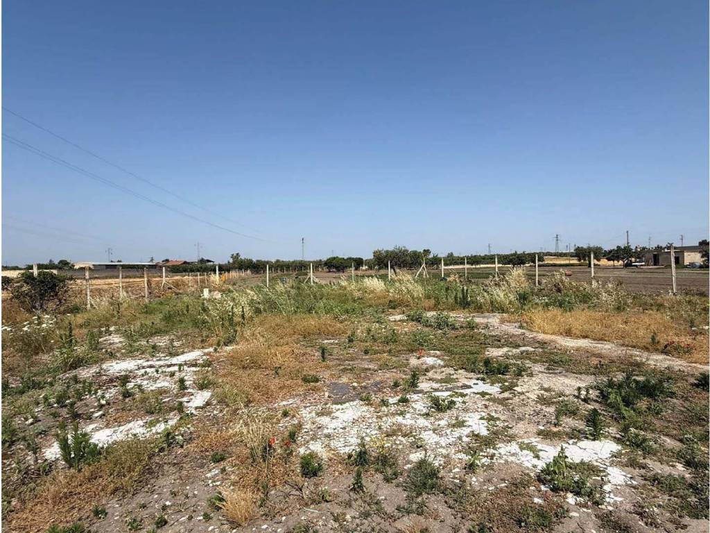 Terreno a San severo in Via Lucera - Foto 2