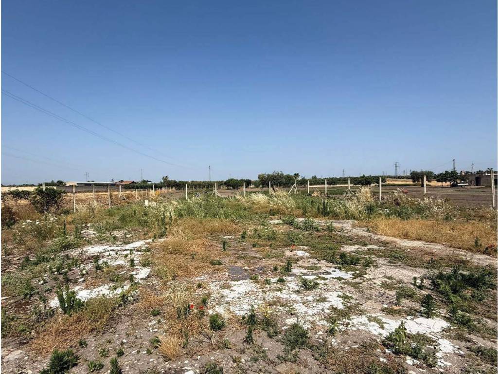 Terreno a San severo in Via Lucera - Foto 3