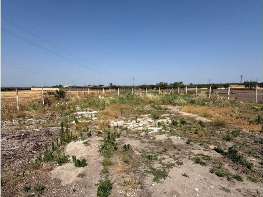 Terreno a San severo in Via Lucera - Foto 4