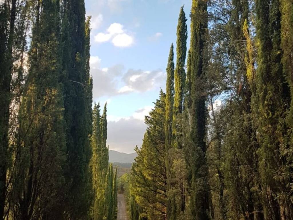 Rustico / casale a Anghiari in Cappuccini di Montauto - Foto 2