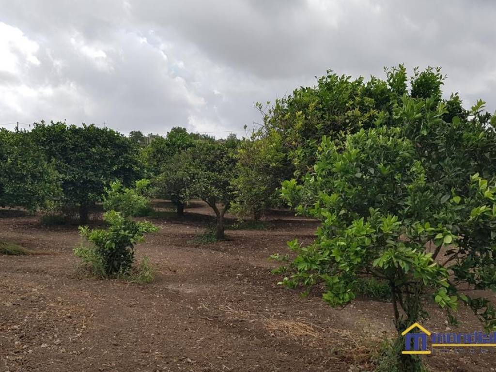 Immobile a Noto in Bonivini - Foto 3
