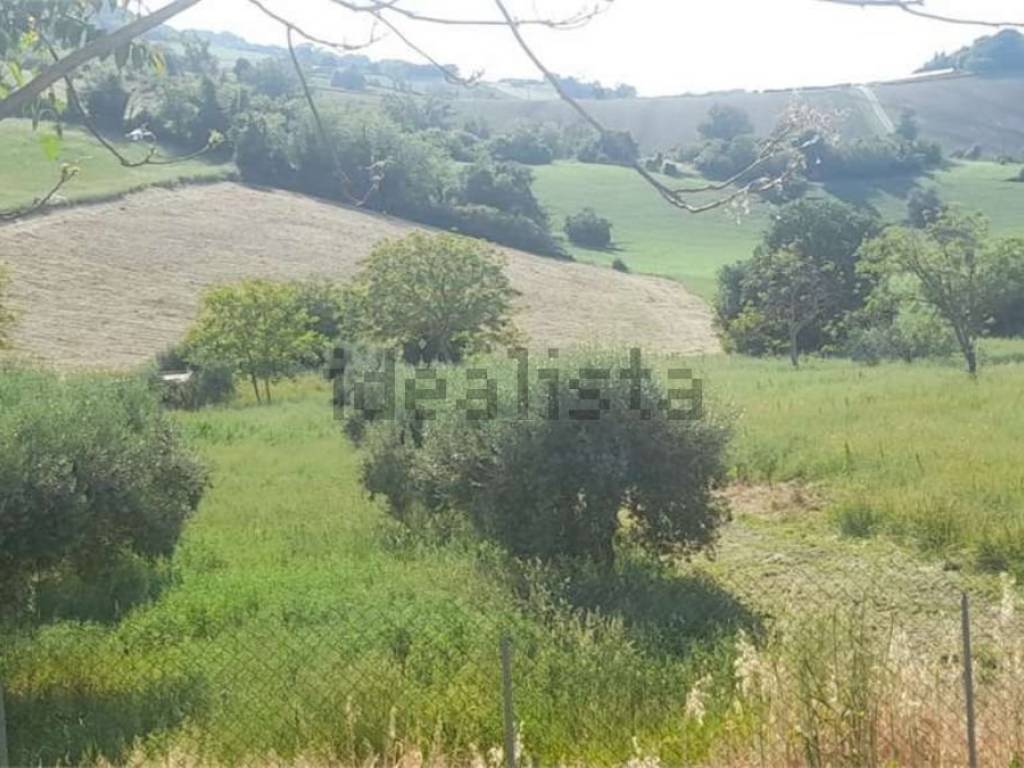 Terreno a Osimo - Foto 2