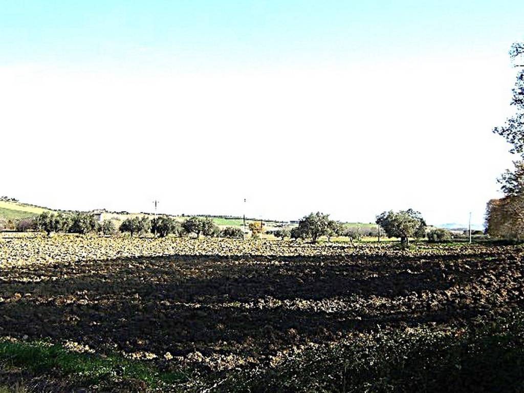 Terreno a Catignano in Contrada Sterpara - Foto 4
