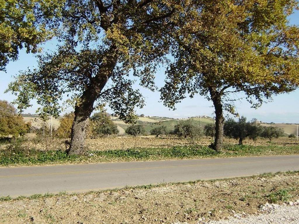 Terreno a Catignano in Contrada Sterpara - Foto 5