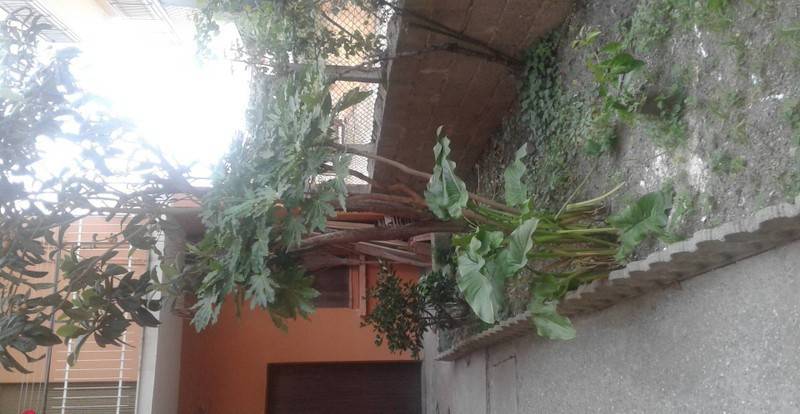 Appartamento a Gizzeria in strada statale 18 - Foto 4