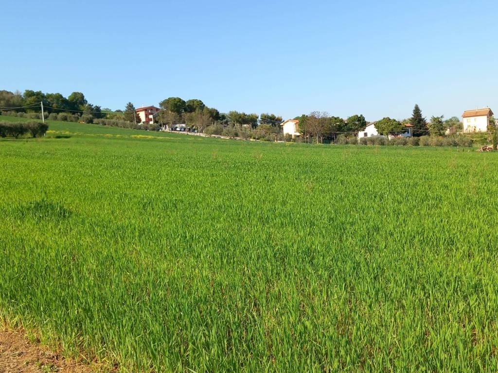 Terreno a Osimo in Via Fratte - Foto 4
