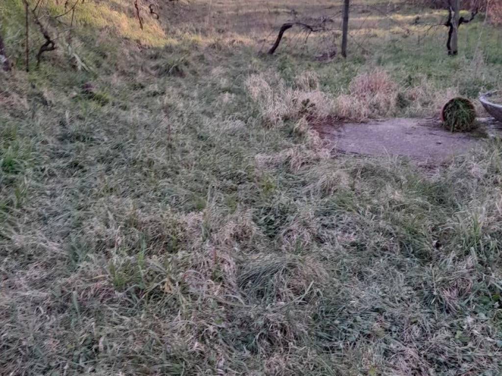 Terreno a San lorenzo nuovo in Strada Provinciale Maremmana - Foto 2