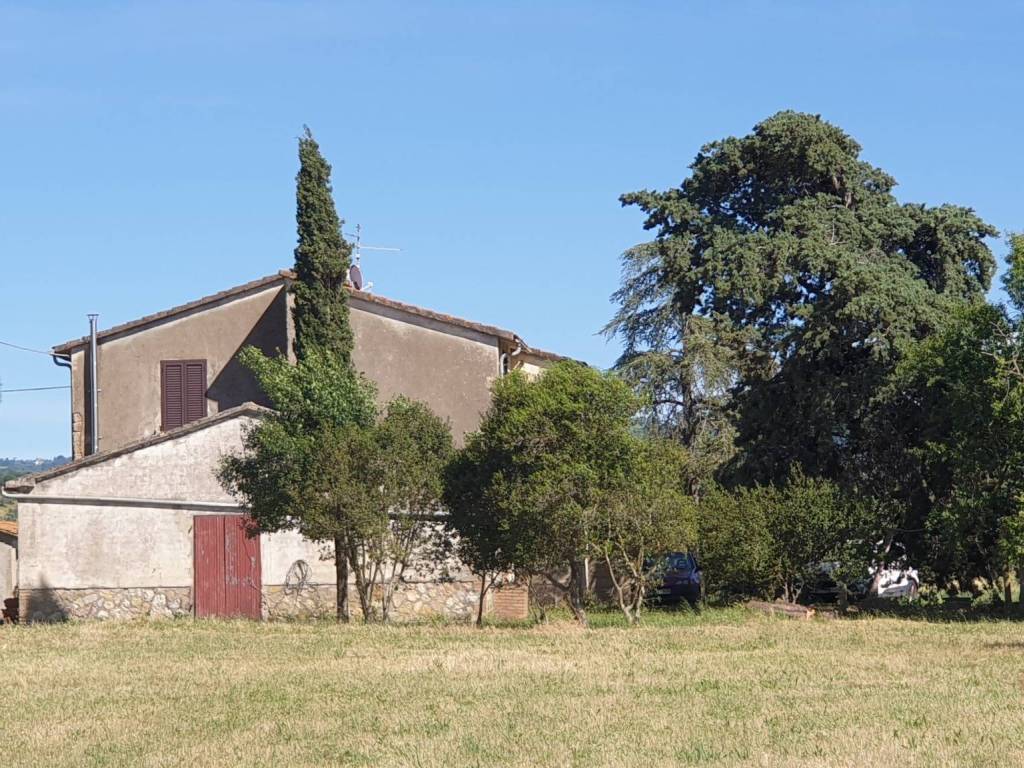 Rustico / casale a Campagnatico in Località Granaione - Foto 5