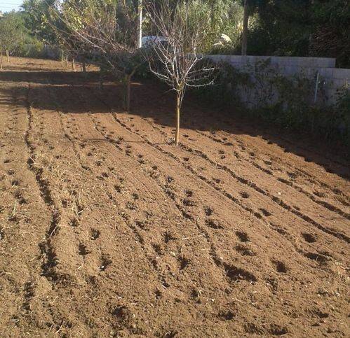 Terreno a Porto torres in Li Lioni - Foto 2
