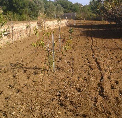 Terreno a Porto torres in Li Lioni - Foto 3