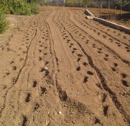 Terreno a Porto torres in Li Lioni - Foto 4