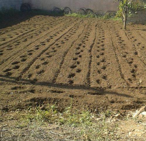 Terreno a Porto torres in Li Lioni - Foto 5