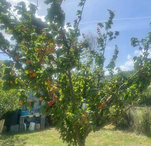 Terreno a Sorso in Borgo Degli Ulivi - Foto 3