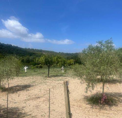 Terreno a Sorso in Borgo Degli Ulivi - Foto 4