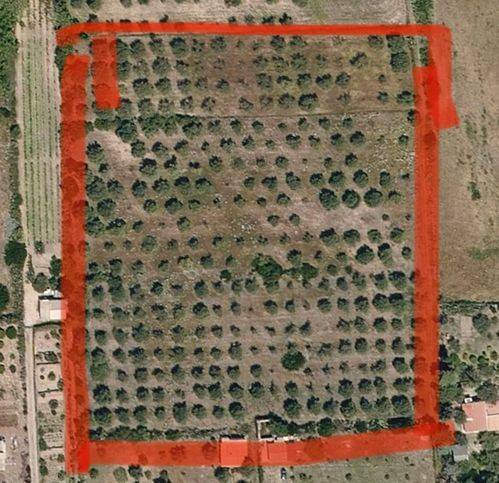 Terreno a Sorso in Località Lu Padru - Foto 2