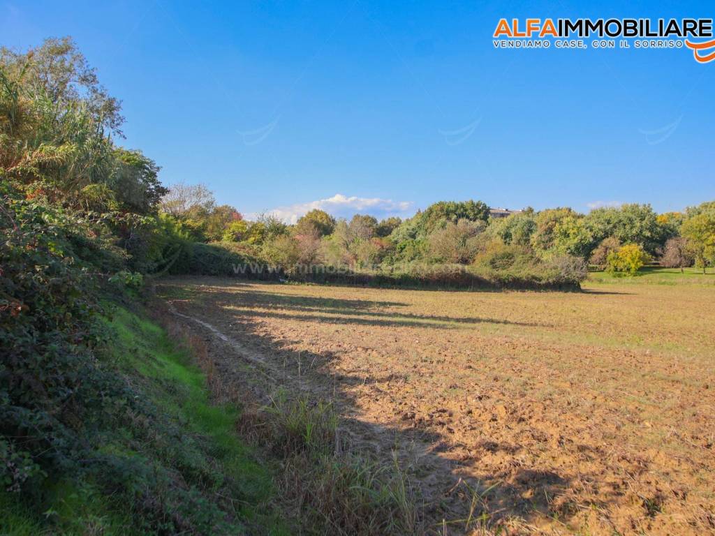 Terreno a Novara in Viale Piazza d'Armi, 38 - Foto 4