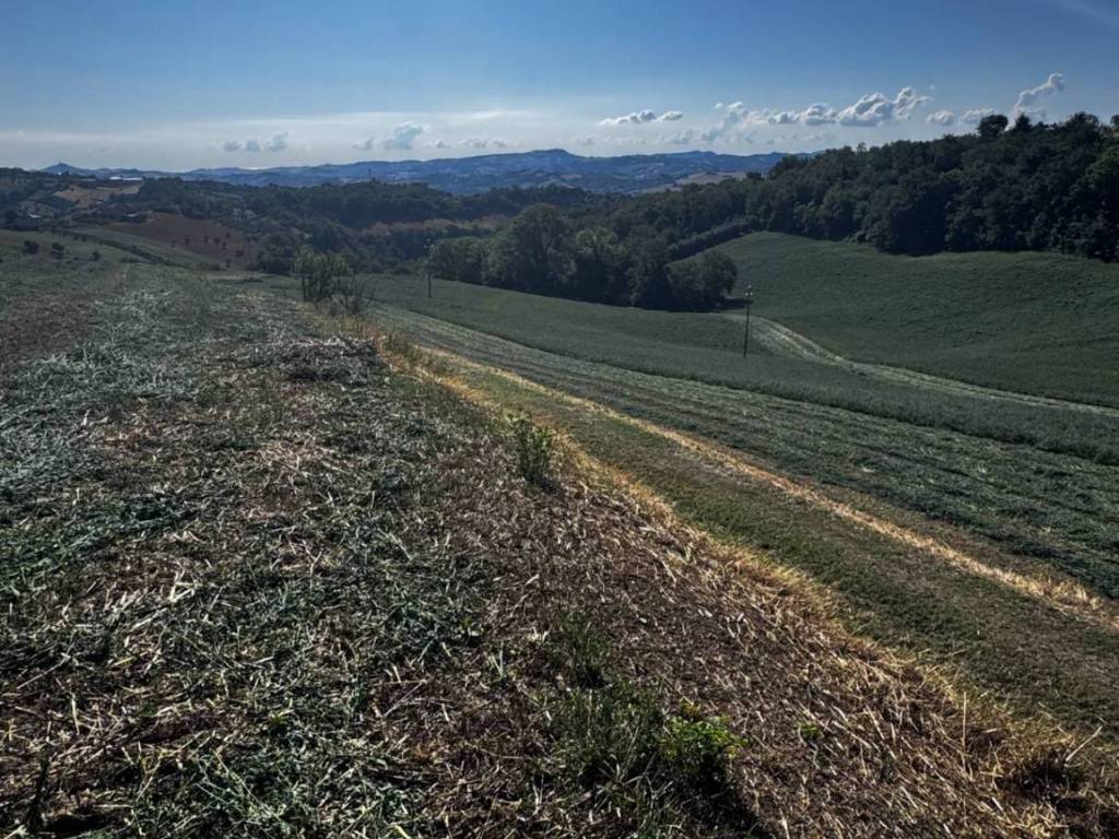Terreno a Montegiorgio in contrada Montamboni - Foto 2