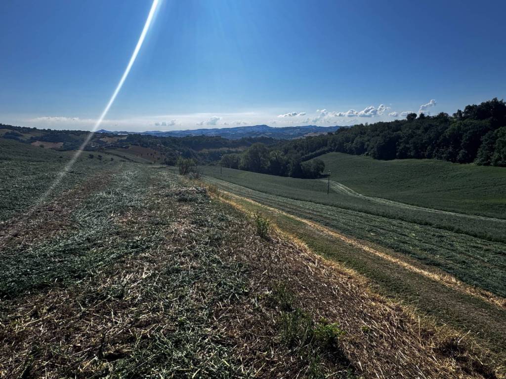 Terreno a Montegiorgio in contrada Montamboni - Foto 3