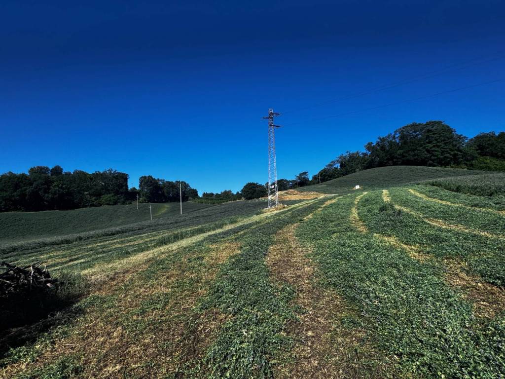 Terreno a Montegiorgio in contrada Montamboni - Foto 4