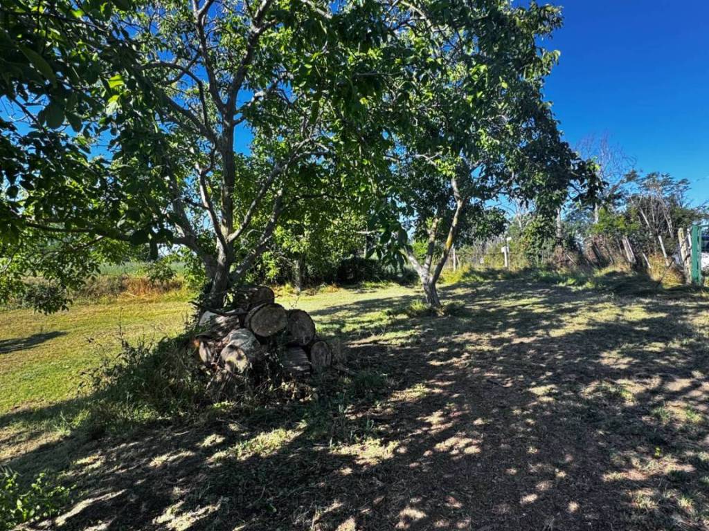 Terreno a Montegiorgio in contrada Montamboni - Foto 5