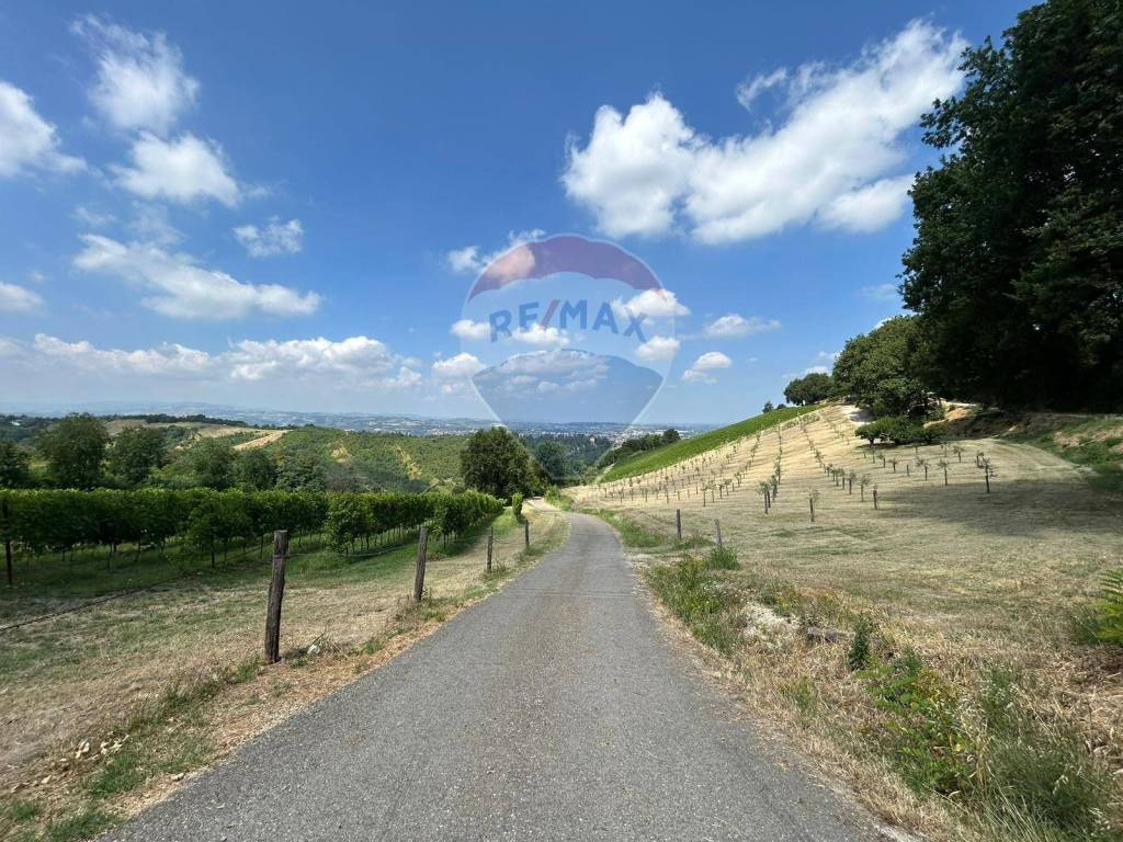 Rustico / casale a Savignano sul panaro in via Basilicata, 8 - Foto 2