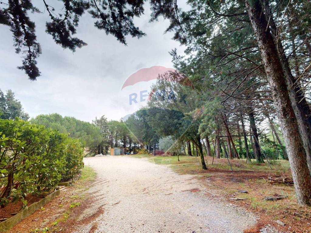 Terreno a Perugia - Foto 4