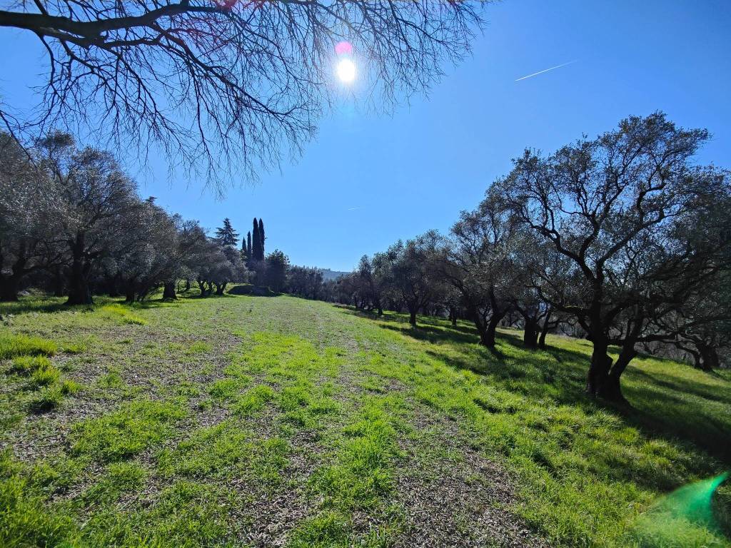Terreno a Verona in Via Montalto, 29 - Foto 3
