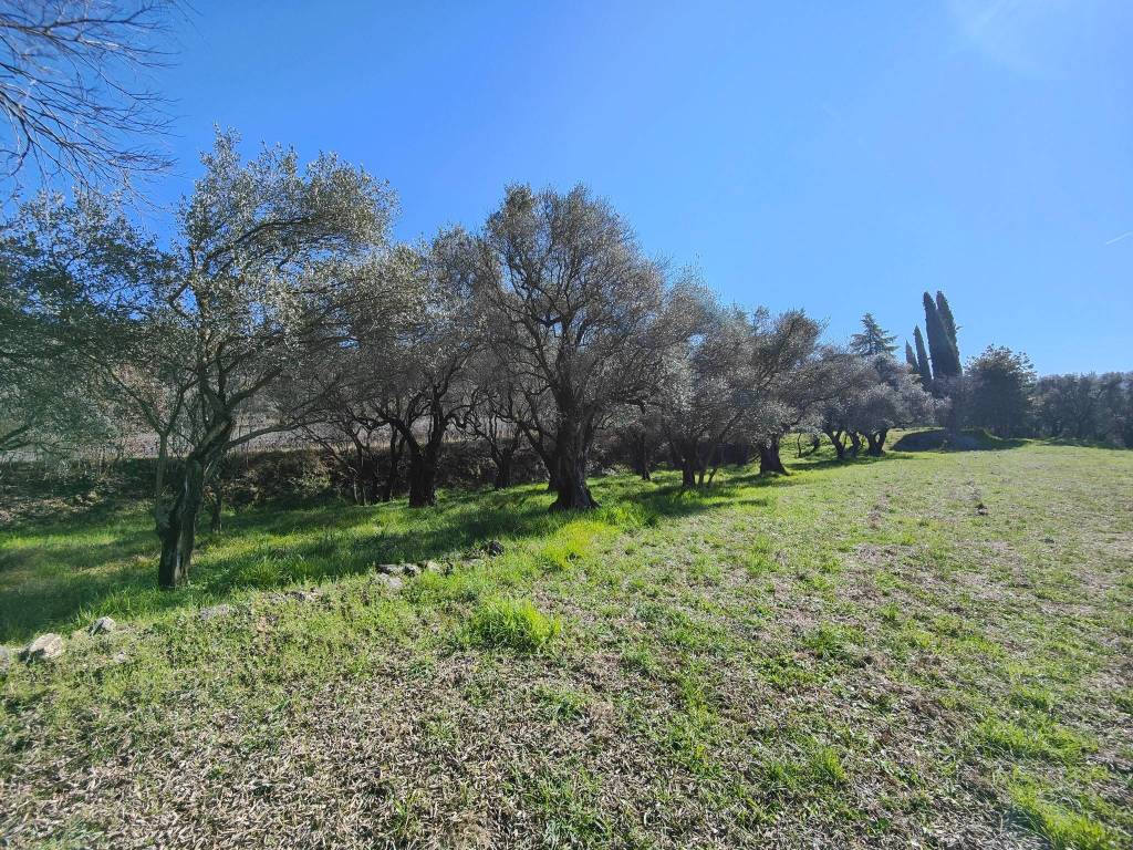 Terreno a Verona in Via Montalto, 29 - Foto 4