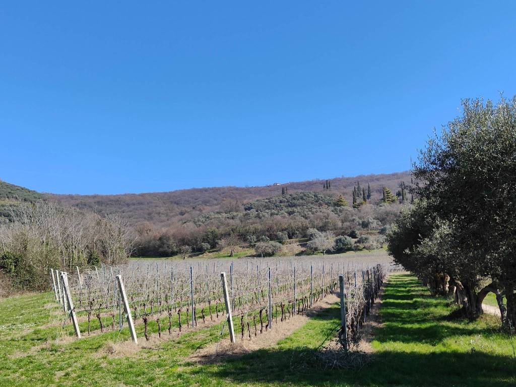 Terreno a Verona in Via Montalto, 29 - Foto 5