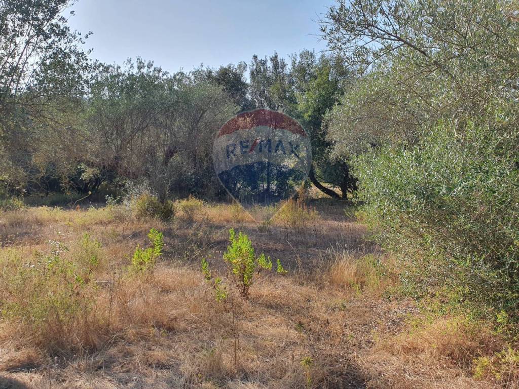 Terreno a Caltagirone in Contrada Molara - Foto 4