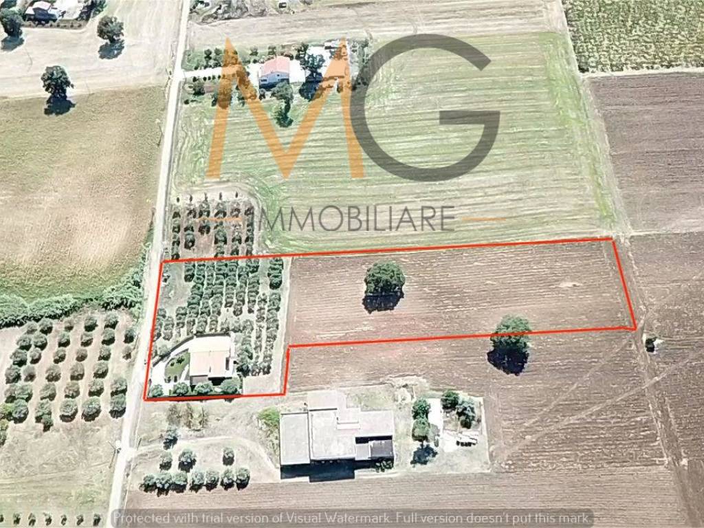 Villa a Guglionesi in Contrada Colle di Brecce - Foto 3