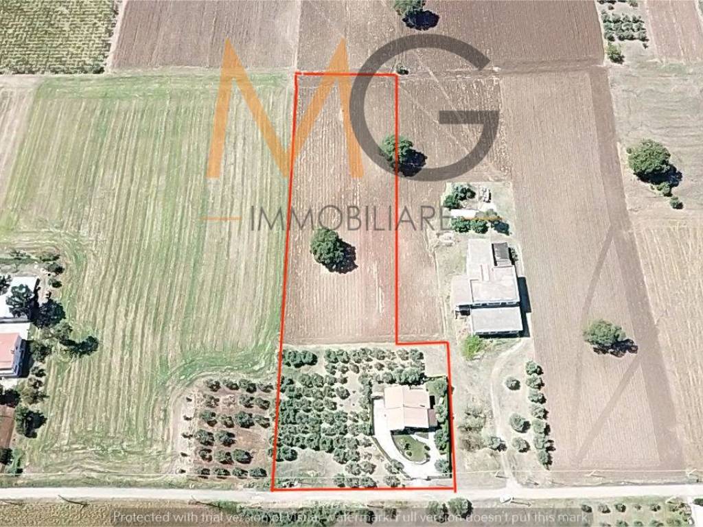 Villa a Guglionesi in Contrada Colle di Brecce - Foto 4