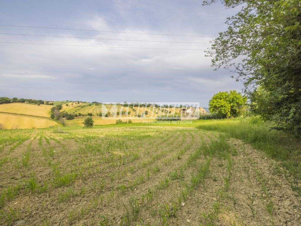 Terreno a Morrovalle in Contrada Castellano, 5 - Foto 2