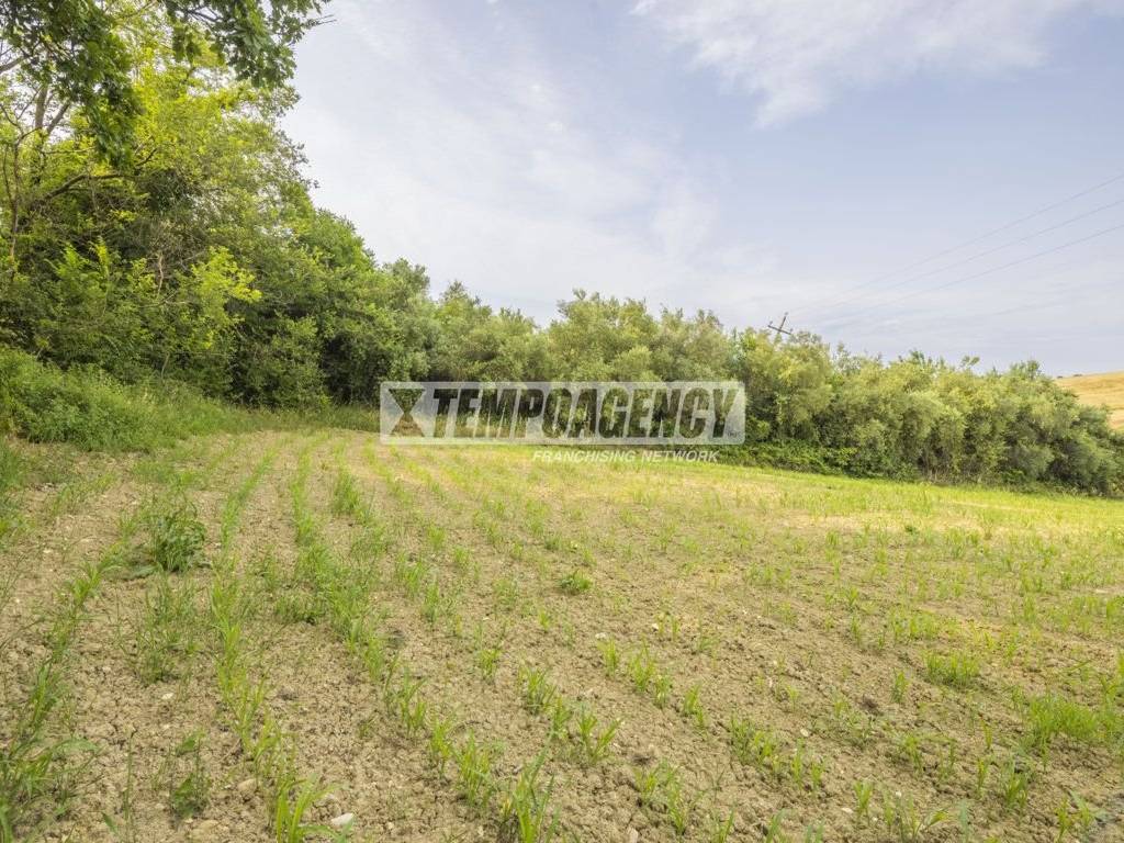 Terreno a Morrovalle in Contrada Castellano, 5 - Foto 3