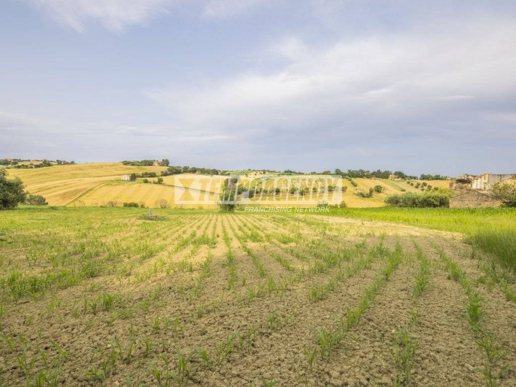 Terreno a Morrovalle in Contrada Castellano, 5 - Foto 4