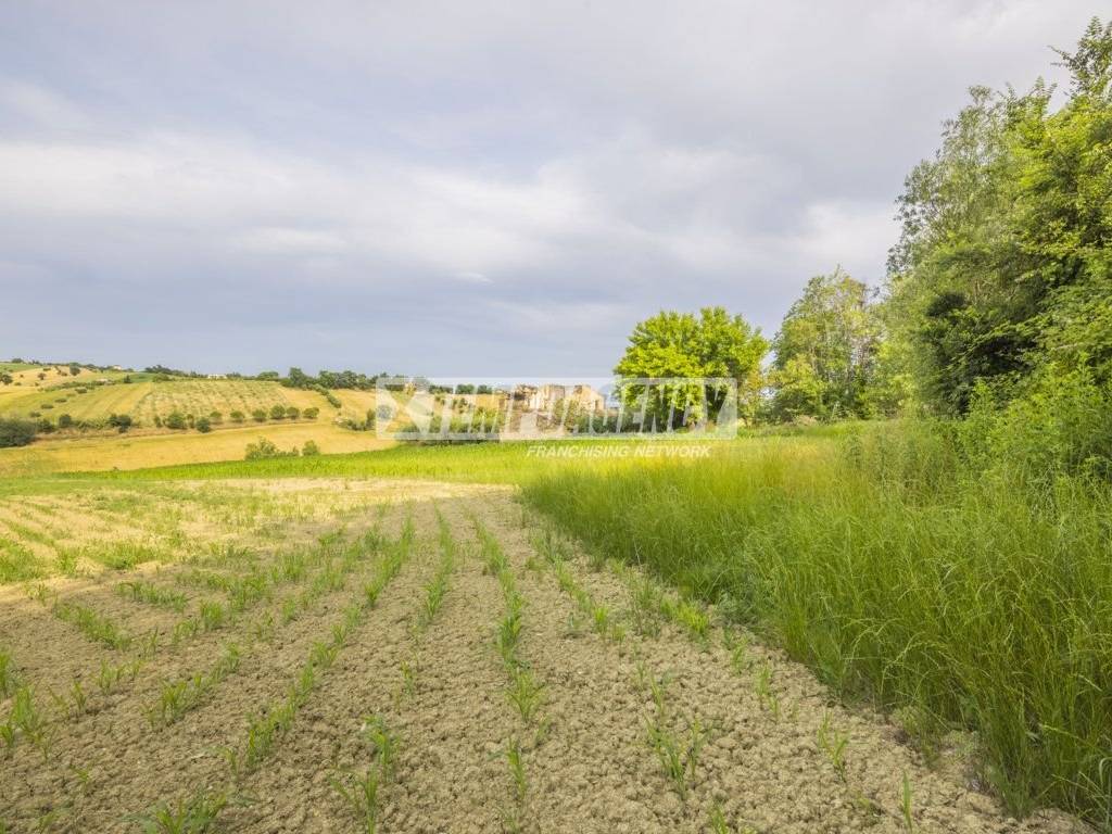 Terreno a Morrovalle in Contrada Castellano, 5 - Foto 5