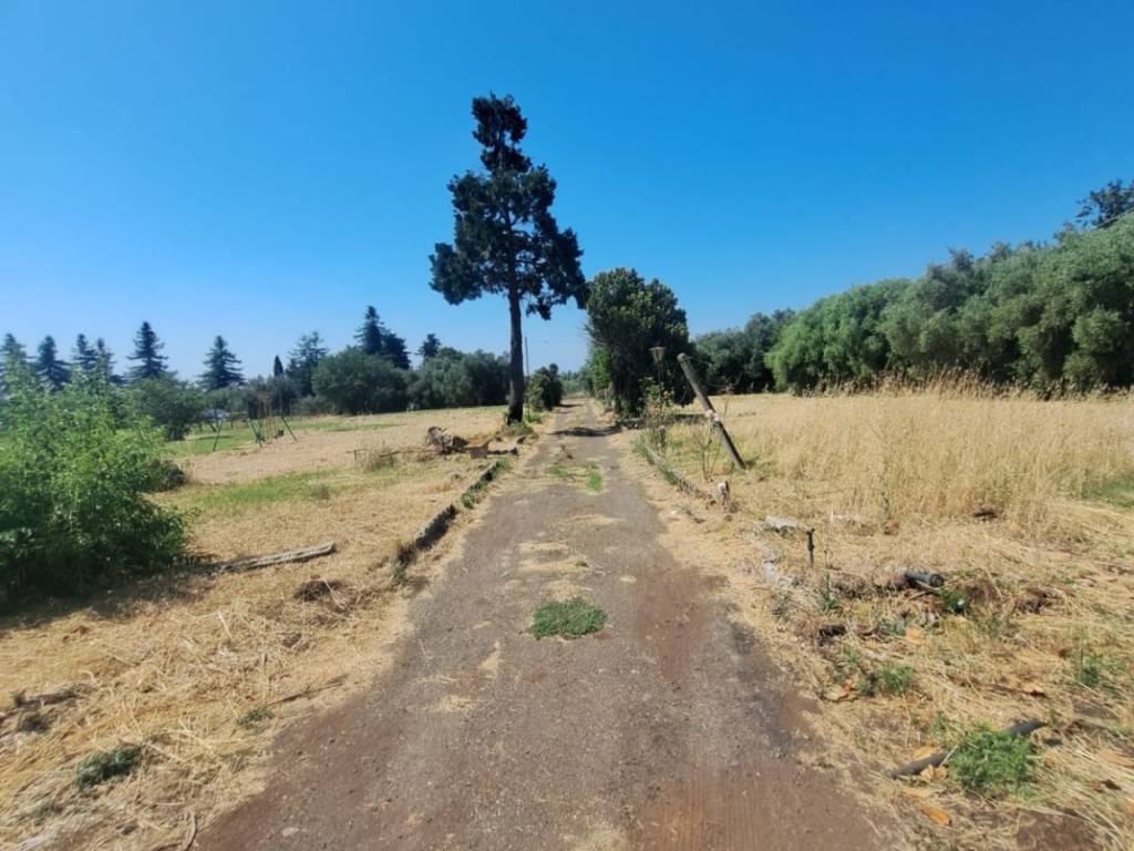 Villa a Genzano di roma in Via Vigne Nuove - Foto 2