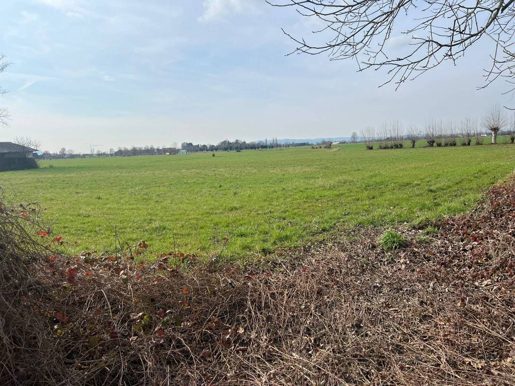 Rustico / casale a Piazzola sul brenta in Via Sega - Foto 4