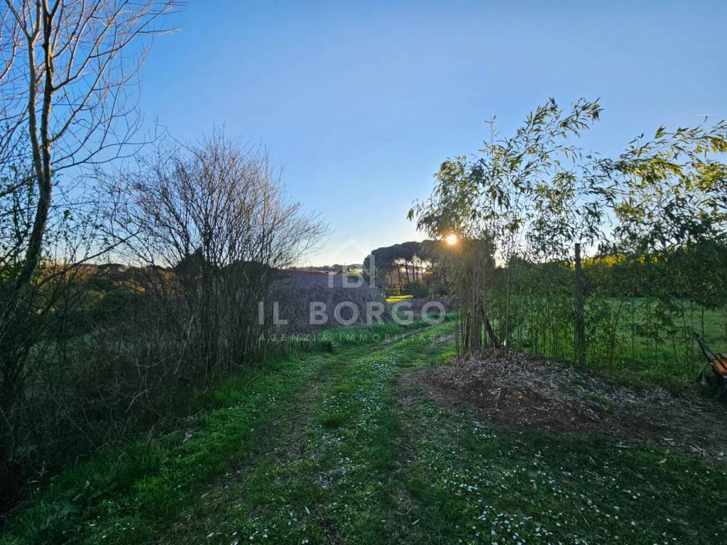 Casa indipendente a Buggiano in Via Donatello - Foto 5