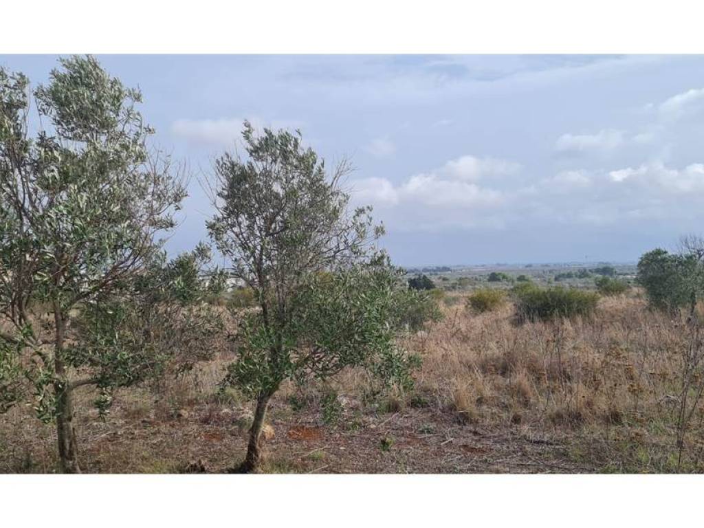 Terreno a Collepasso in Via Sant'Eleuterio - Foto 4