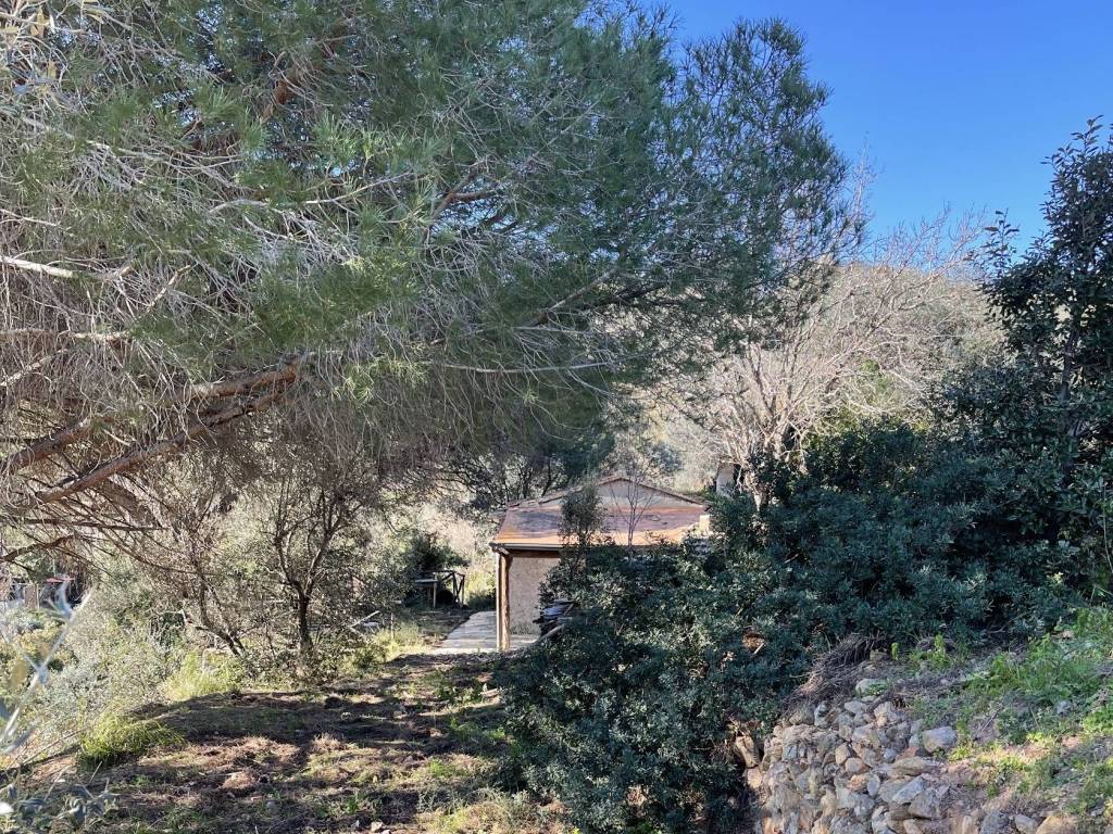 Rustico / casale a Monte argentario in Località Cannatelli - Foto 4