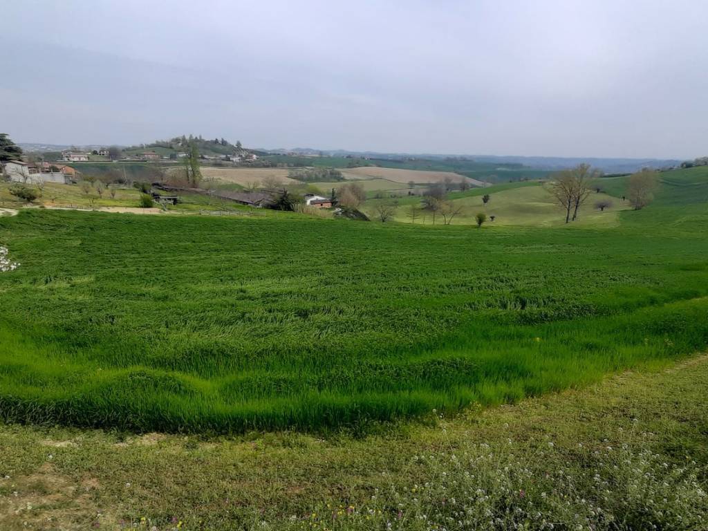 Villa a Tonco in Via G. Garibaldi - Foto 2