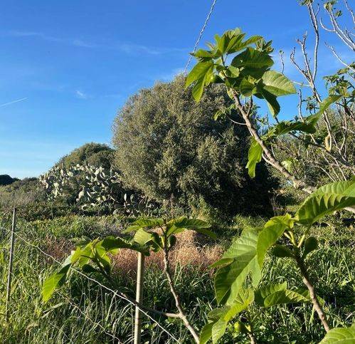 Appartamento a Sassari in Lappiu - Foto 3